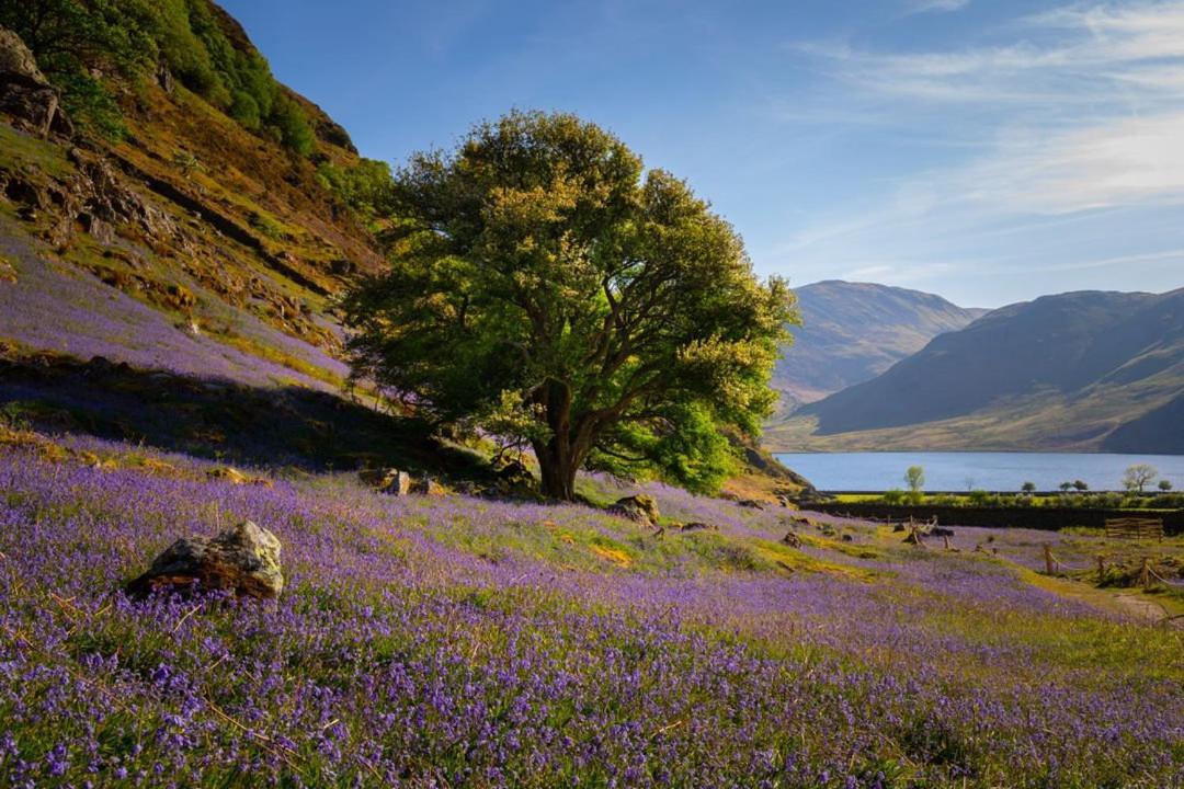 Lodge By The Lake - Lake District - Hot Tub Bassenthwaite Buitenkant foto